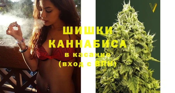 a pvp Аркадак