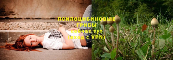 не бодяженный Алексин